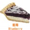 藍莓｜Blueberry