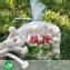 有機白精靈菇(A級-1000g)