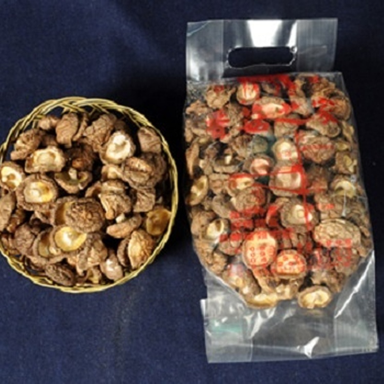 香菇-鈕扣菇4號