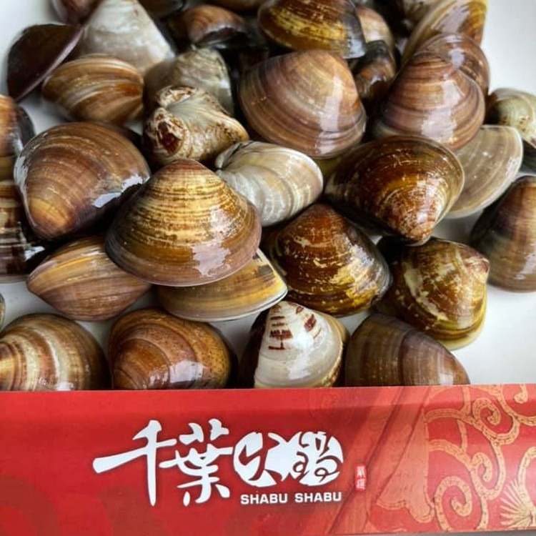 文蛤(一台斤)