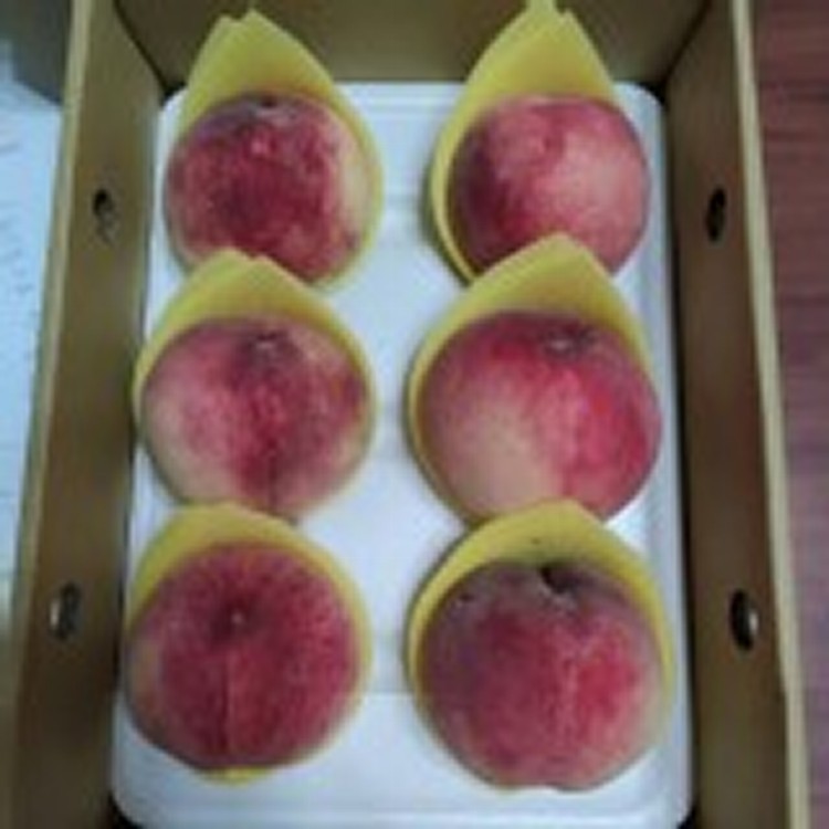 水蜜桃禮盒-6粒裝