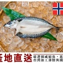 超破盤！㊣ 挪威薄鹽鯖魚(整尾) 235公克/尾