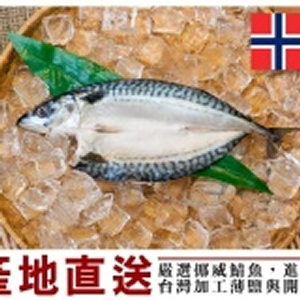 超破盤！㊣ 挪威薄鹽鯖魚(整尾) 235公克/尾