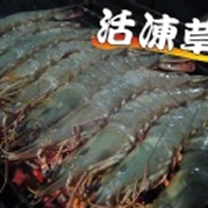 超優惠！鮮凍草蝦(野放) 12 尾