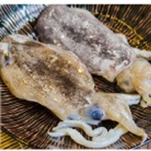 超 優 惠！鮮 凍 軟 絲 175公克 x 1隻