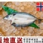 超破盤！㊣ 挪威薄鹽鯖魚(整尾) 235公克/尾