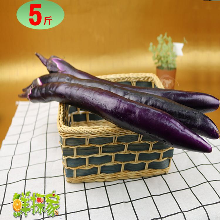 【鮮採家】台灣鮮嫩長條紫茄子5台斤