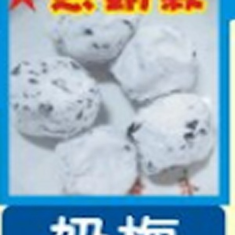 台南華記蜜餞-奶梅