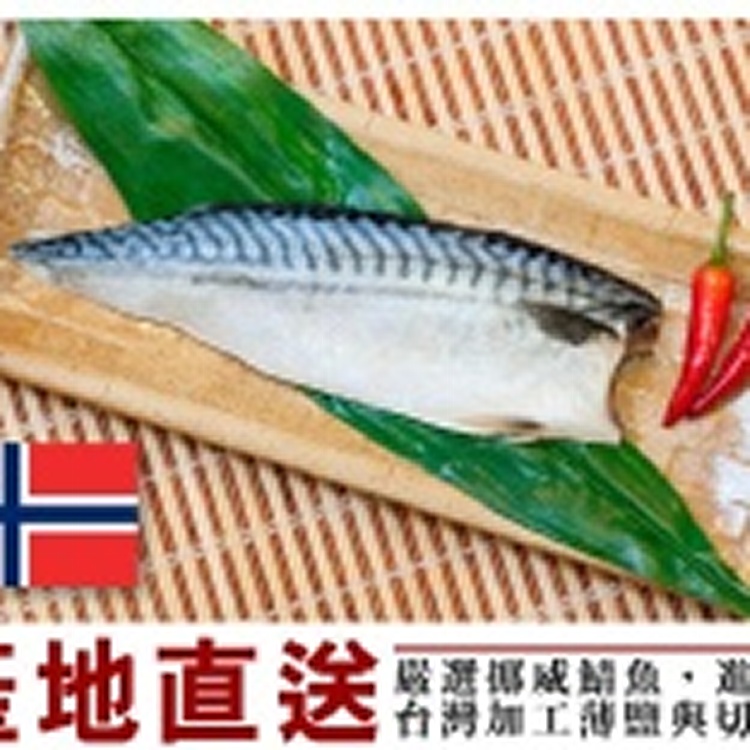 超破盤！㊣ 挪威薄鹽鯖魚片100公克 x 1片