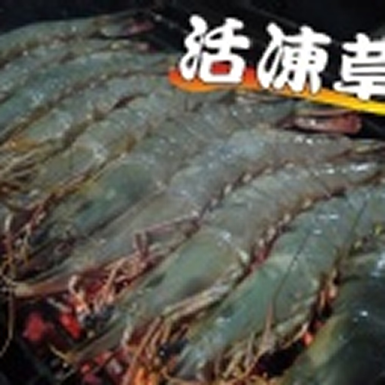 超優惠！鮮凍草蝦(野放) 12 尾