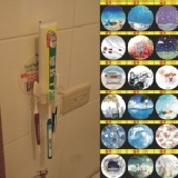 貼樂－牙刷架 主購五折(滿299免運)