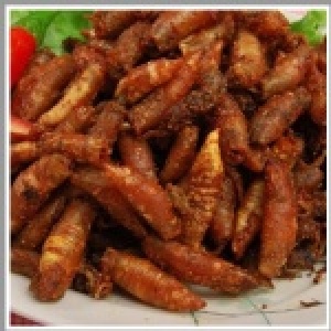 香酥小卷