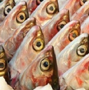 鹽▫虱目魚頭