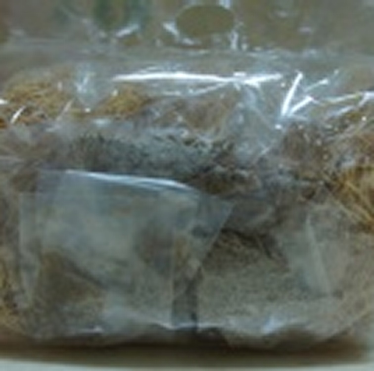 葷食冬菜-雞絲麵