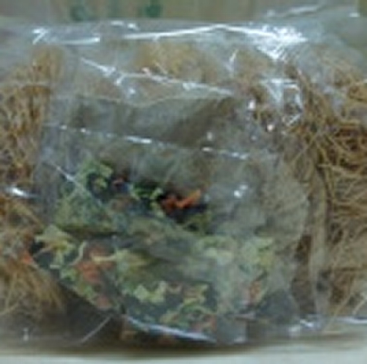 海鮮風味-雞絲麵