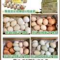 烏骨雞蛋3斤/盒
