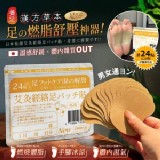 足さん® 日本袪濕艾炙經絡足底貼 (24貼/袋) 🔥