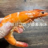 馬來西亞粗放白蝦 重量580-600g(包薄冰）