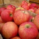 美國富士蘋果 特價：$25