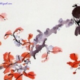 屏科大薄鹽醬油膏未含運 特價：$68