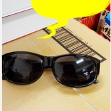 Lafan 偏光太陽眼鏡--黑色 特價：$650