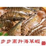 步步高升海草蝦 10尾 400g /盒