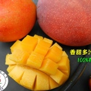 宅配特級芒果 特價：$399