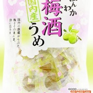 日本零食 野澤脆梅 梅酒梅*新包裝