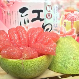 老欉麻豆紅文旦/5台斤禮盒