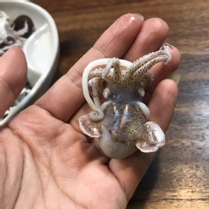 目斗 1份2包 380（總重400g)