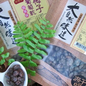 膳體家梅子葡萄乾/250g