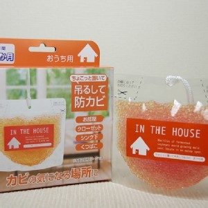 掛式空間防黴劑橘色