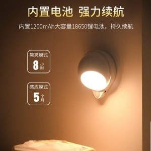 360度智能人體感應燈(白光)