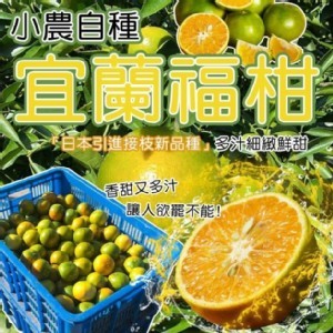 小農自種台灣宜蘭福柑(5台斤/盒)