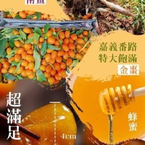 [100%嘉義在地採摘🔅南薑蜜煉金棗/200g