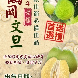 鶴岡文旦10斤一箱