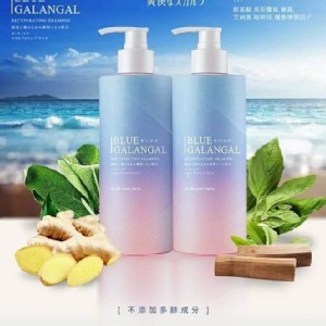 JAROME 潔洛美 生薑控油多效洗髮精 1000ml