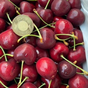 智利櫻桃🍒3j(9row) 3.3斤禮盒