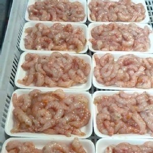 ✨海捕澎湖甜蝦仁🍤 ✨真空包 -