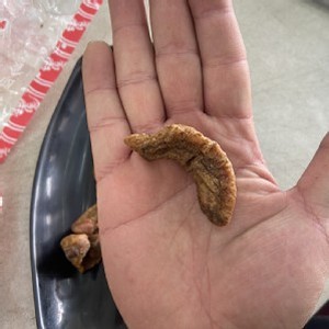 🎊碳烤烏魚腱🎊 真空包裝