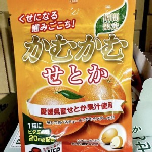 日本🇯🇵明治產業 咖姆咖姆🍊柑橘風味嚼糖/30g