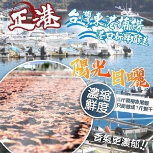 台灣🇹🇼東港赤尾蝦干/150g]