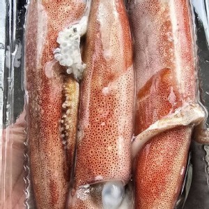 台灣東北盒卷（生）未除墨 一盒重量280到330