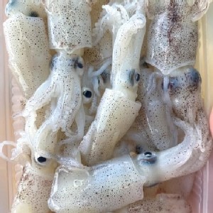 火槍魷脆卷250克