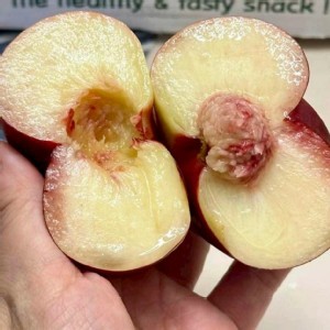 果園美味蟠桃🍑 7粒