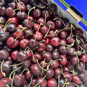 金盃🏆9.5R櫻桃原封箱5公斤