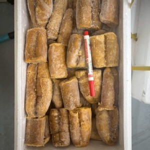 鬼頭刀蒸魚蛋 規格：250/300g /包 （一包約有2~5條大小不一）