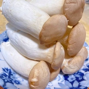 國產A級杏鮑菇－1公斤