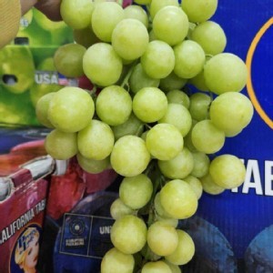 美國空運綠無籽葡萄500克