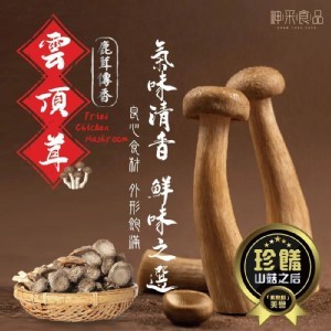 雲頂茸100g